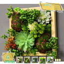 1600円OFFクーポン ウォールグリーン フェイクグリーン 壁掛け 人工観葉植物 北欧風 オシャレ かわいい ディスプレイ インテリア装飾 ミニサボテン 壁飾り 人工観葉植物 緑 植物 サボテン 室内 ホーム 庭 トイレ オフィス フェイクグリーン 壁掛け RaogtCYU