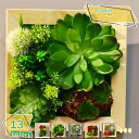 1600円OFFクーポン フェイクグリーン 多肉植物 ウォールグリーン 人工観葉植物 壁掛け 植物装飾 シュミレーション 多肉植物 吊り下げ式 装飾品 室内用 壁掛け インテリア飾り 水やり不要 枯れない サボテン 人工観葉植物 母の日 誕生日 プレゼント RaogtCYU