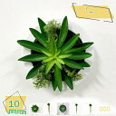 1600円OFFクーポン 人工観葉植物 ウォールグリーン 多肉植物 植物鉢植え 苔玉 麻ひも 室内 ホーム 庭 ルーム 人工観葉植物 サボテン 多肉鉢植え フェイクグリーン ハンギング ミニ 人工多肉植物 おしゃれ 造花 人工観葉植物 フェイクグリーン 壁掛け RaogtCYU
