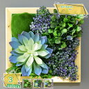1600円OFFクーポン 人工観葉植物 壁掛け フェイクグリーン 多肉植物 アイビー ハンギング アイビー 雑貨 アート 装飾 おしゃれ インテリア雑貨 かわいい リアル ナチュラル 人工植物 アイビー アート ギフト 贈り物 プレゼント 壁掛け プレゼント RaogtCYU
