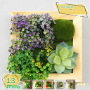 1600円OFFクーポン 人工観葉植物 ウォールグリーン 多肉植物 フェイクグリーン ハンギング ミニ 植物鉢植え 苔玉 麻ひも 室内 ホーム 庭 ルーム 人工観葉植物 サボテン 多肉鉢植え 人工多肉植物 おしゃれ 造花 人工観葉植物 フェイクグリーン 壁掛け RaogtCYU