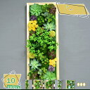 3500円OFFクーポン 人工多肉植物 ミニ 壁掛け 観葉植物 フェイクグリーン 飾り インテリア 植物鉢植え 癒やし空間 ガーデニング お世話不要 造花 おし...