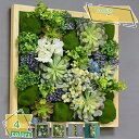 3500円OFFクーポン 人工観葉植物 フェイクグリーン ハンギング ウォールグリーン 多肉植物 ミニ 室内 ホーム 庭 トイレ オフィス 玄関 寝室 サボテン...