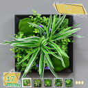 1600円OFFクーポン 多肉植物 人工観葉植物 アートフラワー フェイクグリーン 壁掛け 寄せ植え フェイク 観葉植物 ホテル インテリア 壁飾り パネル イミテーション ウォールパネル ウォールグリーン 玄関 室内 水やり不要 サボテン 人工多肉植物 RaogtCYU