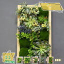 1600円OFFクーポン ウォールグリーン フェイクグリーン 人工観葉植物 造花 壁掛け 人工観葉植物 インテリア アンティーク 雑貨 玄関 室内 壁掛用 木枠 おしゃれ 多肉植物 フレーム 緑 植物 サボテン 人工多肉植物 水やり不要 壁掛け 人工観葉植物 RaogtCYU