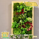 3500円OFFクーポン 人工多肉植物 ミニ 壁掛け 観葉植物 フェイクグリーン 飾り インテリア 植物鉢植え 癒やし空間 ガーデニング お世話不要 造花 おしゃれ リビング ダイニング 玄関 キッチン トイレ ナチュラル 寄せ植え 植木鉢 プレゼント ギフト RaogtCYU