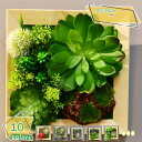 1600円OFFクーポン フェイクグリーン 人工観葉植物 多肉植物 手入れのいらない インテリア 造花 寄せ植え インテリア装飾 アーティフィシャルフラワー 誕生日祝い 引っ越し祝い ギフト 枯れない花 水やり不要 植物鉢植え ハンギング 人工観葉植物 RaogtCYU