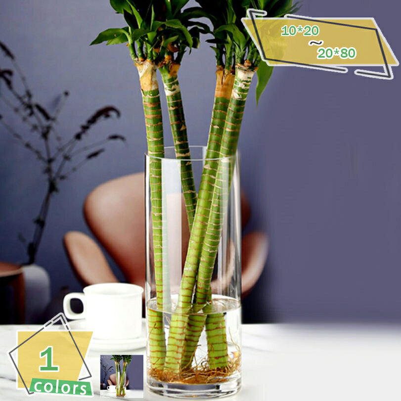 460円OFFクーポン ガラス花瓶 一輪挿し 大きい フラワーベース 花瓶 硝子瓶 透明 現代 部屋 インテリア飾り 書斎 生花 造花 シンプル 人気 ウォッシュ クリア花瓶 欧モダン 北欧 新生活 誕生日 プレゼント 贈答品 RaogtCYU