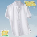 シャツ メンズ 半袖 ワイシャツ ストライプ柄 ボタンダウン M-5XL 夏服 春 秋服 ゆったり カジュアル 大きいサイズ 柔らかい シンプル おしゃれ ドロ...