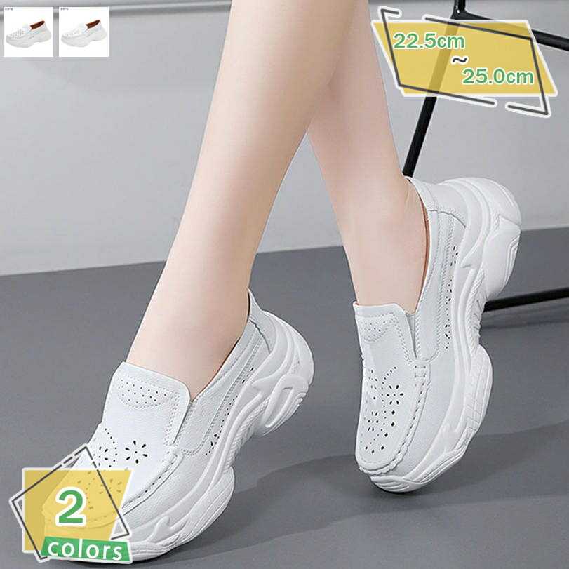 1000��OFF�����ݥ� �ե��å���� �� ��ǥ����� ����åݥ� ���ˡ����� ���� �����奢�� ι�� Ĺ���� ���ʤ� �̳� �̶� �����ե��� �ץ�åȥե���...