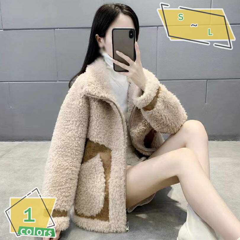 ボアブルゾン もこもこ ボアジャケット ボアコート 立ち襟 ボア ブルゾン ジャケット コート アウター マウンテンパーカー フリースジャケット スタンドブルゾン もこもこ 防寒 ノーカラー レディース カジュアル 秋冬 RaogtCYU