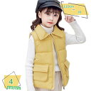 子供服 ノースリーブ ダウンベスト キッズ ベスト 綿 厚手 前開き 防寒 中綿ベスト 春秋冬 ベビー服 カジュアル おしゃれ アウター コート 防寒 用 暖か...
