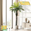 3500円OFFクーポン 人工観葉植物 大型 1.8M フェイクグリーン インテリア 家の中に置く 人工観葉植物 おしゃれ 世話がない 水やり不要 ホーム 玄関 キッチン オフィス フェイクグリーン 飾り 触れる時に真実な感 細工が丁寧 フェイクツリー RaogtCYU
