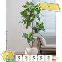 3500円OFFクーポン 人工観葉植物 大型 本物そっくり フェイクグリーン 自然でリアル 造樹 室内 ホーム ベランダ 結婚 飾り用 柔らかい緑 深の緑 鮮やか 細工が丁寧 簡単世話いらず 水やり不要 フェイクツリー トロピカル植物 造樹 ガジュマル RaogtCYU