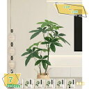 人工観葉植物 大型サイズ 盆栽植物 フェイクグリーン インテリア 室内 家庭 屋内 リビング オフィス 水やり不要 枯れない 害虫が発生しない 人工観葉植物 おしゃれ 簡単世話いらず フェイクグリーン 造樹 バキラの木 RaogtCYU