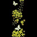 【送料無料】 舞妓はんの華かんざし 3月(菜の花) 蒔絵 舞妓さん 京都 簪 四季 季節の花 春 華やか デコレーション シール ステッカー 和柄 携帯 iPhone スマホ