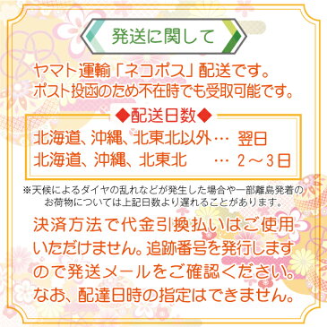 婦人布扇子 『 フレンチリネン 差し袋セット ( ブルー )』 松寿庵【追跡可能メール便送料無料!】 【 蛤扇子 女性用 婦人 レディス リネン ナチュラル シンプル 麻 亜麻 無地 はまぐり型 収納袋 袋付き 扇子入れ セット かわいい 青 水色 】