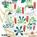  春の七草籠 kenema 日本製 せり なずな ごぎょう はこべら ほとけのざ すずな すずしろ 手拭い てぬぐい タペストリー 壁飾り sps