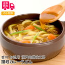 香川 お徳用 瀬戸内讃岐工房 讃岐カレーうどん(2食入×12袋)【送料無料(代引不可)】