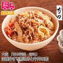 大阪 日本料理 寺田 国産牛すじ煮込みと牛丼の素【送料無料 代引不可 】