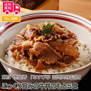 東京・恵比寿 「なすび亭 吉岡英尋監修」こっくり旨みの牛丼のもと5食【送料無料(代引不可)】