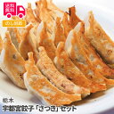 栃木 宇都宮餃子「さつき」セット【送料無料（代引不可）】 1