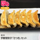 栃木 宇都宮餃子「さつき」セット【送料無料（代引不可）】