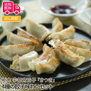 栃木 宇都宮餃子「さつき」 4種の餃子味わいセット【送料無料(代引不可)】