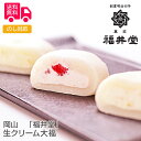 岡山「福井堂」生クリーム大福【送料無料(代引不可)】【 春ギフト ホワイトデー 和菓子 クリーム大福 フルーツ大福 いちご レモン 桃 】
