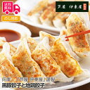 兵庫 「芦屋 伊東屋」謹製 黒豚餃子と地鶏餃子【送料無料(代引不可)】