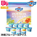 沖縄 ブルーシールアイス 12個セット 【のし対応可】【送料無料(代引不可)】【離島配送不可】【 ブルーシール アイス アイスクリーム 沖縄 ギフトボックス 1...