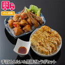手羽めんたい&黒豚ぎょうざセット【送料無料(代引不可)】