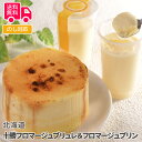 北海道 十勝フロマージュブリュレ&フロマージュプリン【送料無料(代引不可)】 ホワイトデー お返し ギフト
