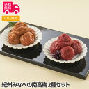 紀州みなべの南高梅 2種セット【送料無料(代引不可)】