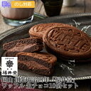 岡山「福井堂」 ワッフル 生チョコ10個セット【送料無料(代引不可)】