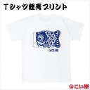 【送料無料】 こい屋 Tシャツ 鯉青プリント こいのぼり 鯉のぼり 雑貨 グッズ 端午の節句 縁起がいい 和柄 和風 大人 子供 キッズ 親子 ペア おそろい