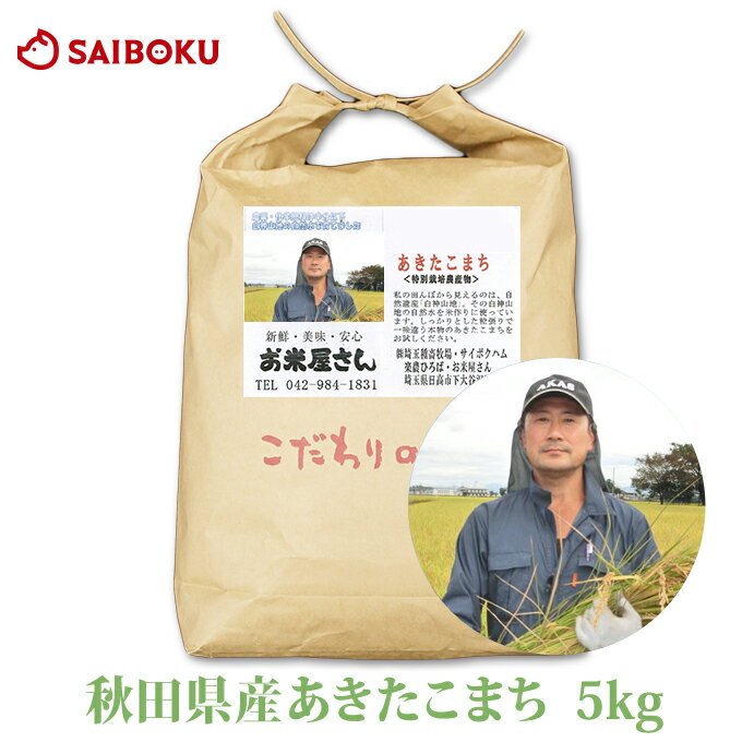 お米 あきたこまち 5kg 