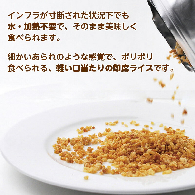 救命ライス100g しお 1ケース（40袋） 2