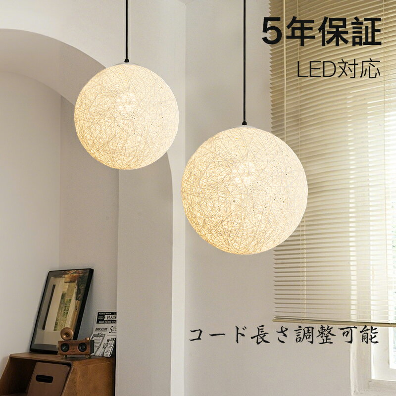 ڥӥ塼ŵաۡ5ǯݾڡۥڥȥ饤 饿   ¼ ˥  1 E26 LEDб  ץ...