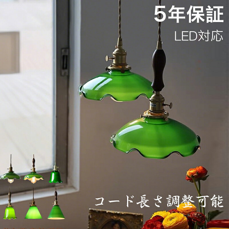 ڥӥ塼ŵաۡ5ǯݾڡ ڥȥ饤 ̲ 饹 ˥  1 E26 LEDб  °  ...