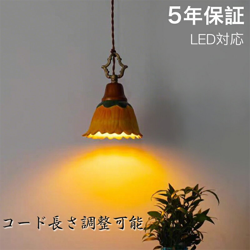 ڥӥ塼ŵաۡ5ǯݾڡۥڥȥ饤 ̲ ˥  ƫ  °  1 E26 LEDб ...