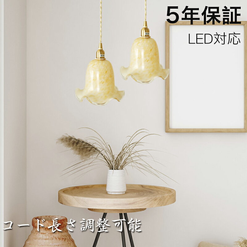 ڥӥ塼ŵաۡ5ǯݾڡ ڥȥ饤 ̲ 饹 ˥  1 E26 LEDб  °  ...