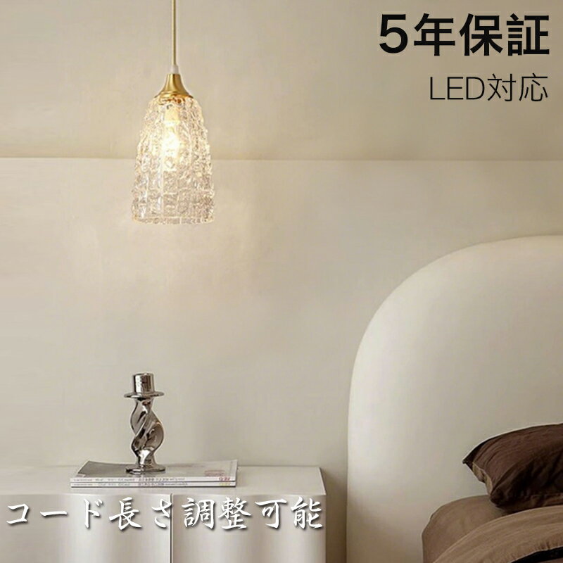ڥӥ塼ŵաۡ5ǯݾڡ ڥȥ饤 ̲ 饹 ˥  1 E26 LEDб  °  ...