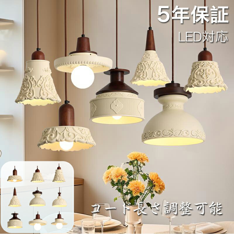 ڥӥ塼ŵաۡ5ǯݾڡ ڥȥ饤 ̲  ˥  1 E26 LEDб    ...