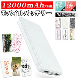 【期間限定特価】3A高速充電&Type-C両方向対応★今だけ999円!モバイルバッテリー12000mAh 大容量 軽量 3A急速充電 3台同時充電可能 2USBポートスマホ充電器 指紋防止 TYPE-C micro入力 残量表示 名入れ 卒部 記念品 防災グッズ PSE認証済 iPhone iPad Android対応