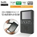 【公式ショップ】 SaiEL ポケットラジオ FM AM ワンセグ 手回し充電 ダイナモ式 2.8インチ 液晶画面 乾電池 防災 災害 携帯ラジオ イヤホン LED