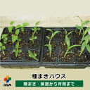 daim 育苗 ポット 種まきハウス 多肉植物 保温 トレイ シート 家庭菜園 園芸 用品 苗づくり