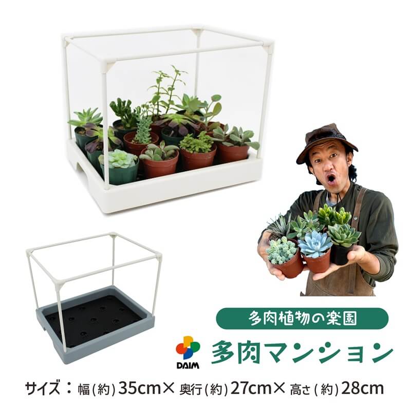 daim 多肉マンション 幅35cm×奥行き27cm×高さ28cm カーメンくん 園芸 多肉植物 観葉植物 寄せ植え 棚 苗 室内 温室ハウス 家庭用 温室 自宅 ミニ温室 温室セット 鉢用 雨よけ 風よけ 風対策 グッズ サボテン 園芸用品