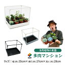 【カーメン君×daim コラボ】daim 多肉マンション 幅35cm×奥行き27cm×高さ28cm カーメンくん 園芸 多肉植物 観葉植物 寄せ植え 棚 苗 室...