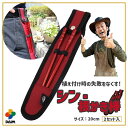【エントリーで全商品P5倍!】【クーポンで最大2,000円OFF】【カーメン君×daim コラボ】daim シン・根かき棒 2セット入 根かき 植え替え カーメン君 根 植え付け 苗 ほぐす 若狭塗り 輪島 雑草 清掃 お手入れ 第一ビニール 送料無料
